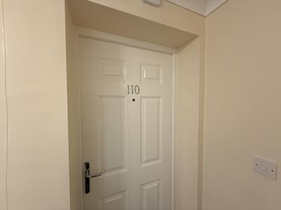 Picture 13